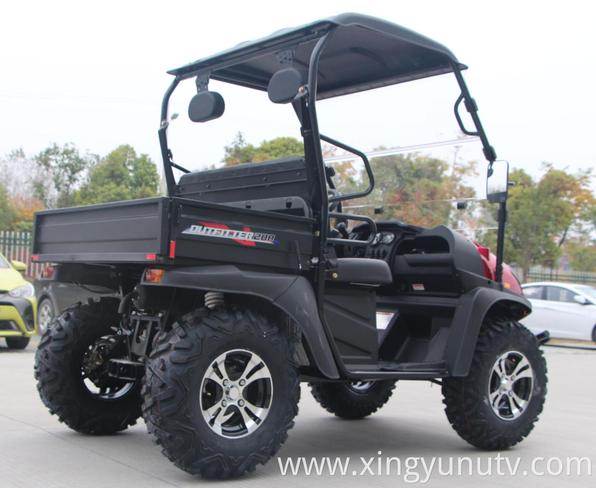 2020 Hot Sale High and low speed shift EFI 200CC UTV with EPA for Adults